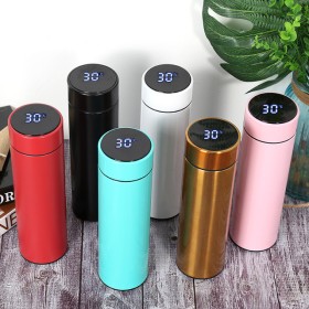 Water Bottle With Led Temperature Display