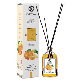 Reed Diffuser Citrus Home Parfum